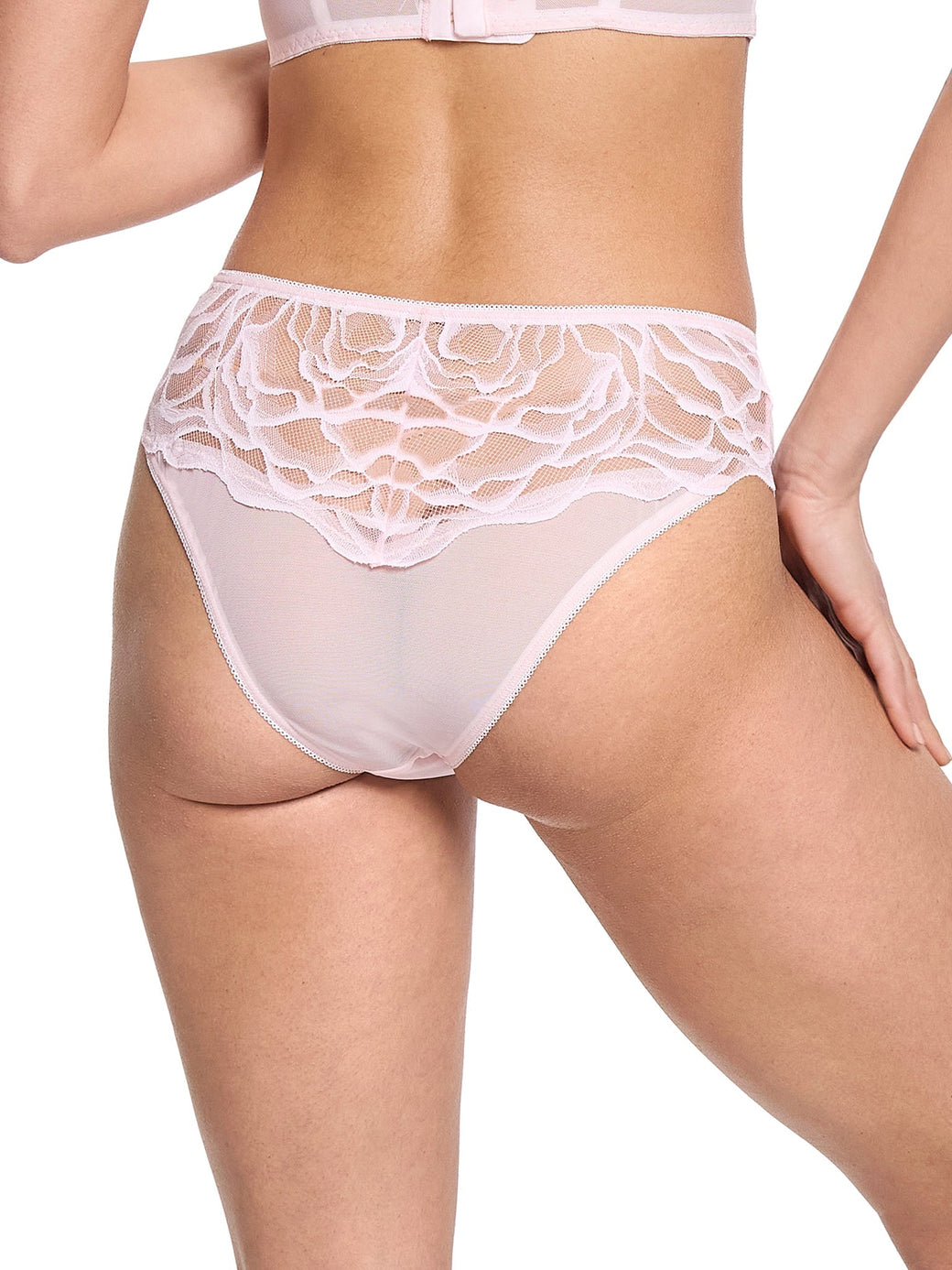 Silhouette Floral Cheeky Panty Vie En Rose Sale